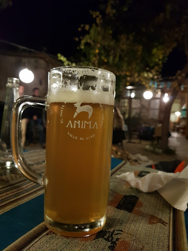 Gabriela Mistral 565, 1760588 Vicuña, Coquimbo