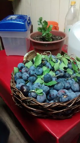 Reviews of Agrícola Veghurt in Cauquenes - Gastronomía y hostelería