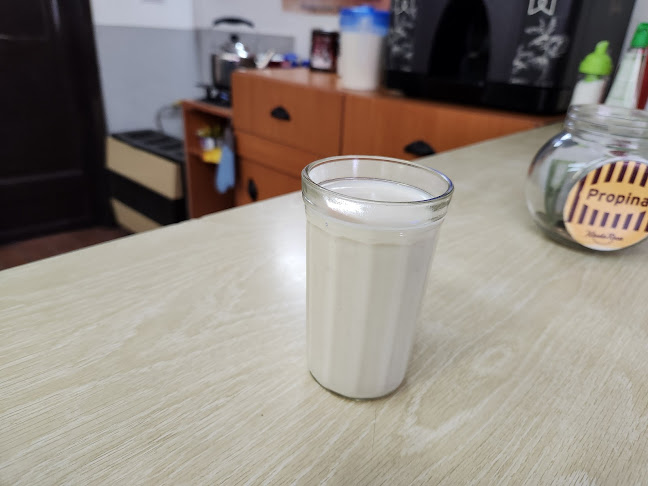 Kiosko Roca Punta Arenas - Punta Arenas