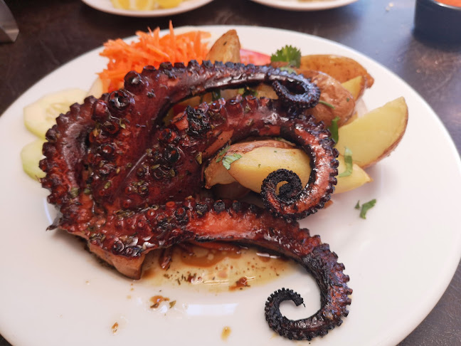 Comentarii opinii despre Portofino