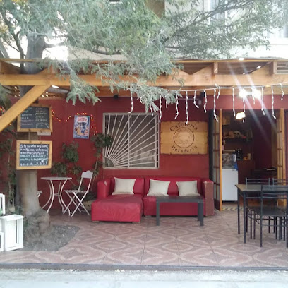 Cafeteria Cafe Panda