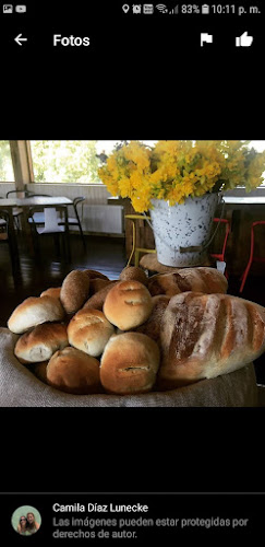 Cocina Del Bosque - Gastronomía y hostelería