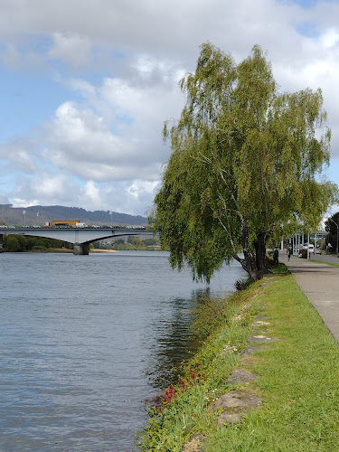 Cafetería Terminal de Valdivia - Gastronomía y hostelería