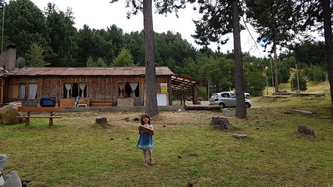 Comentarii opinii despre Restaurante El Conejo