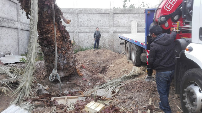 Opinii despre Raulito în Conchalí - Gastronomía y hostelería