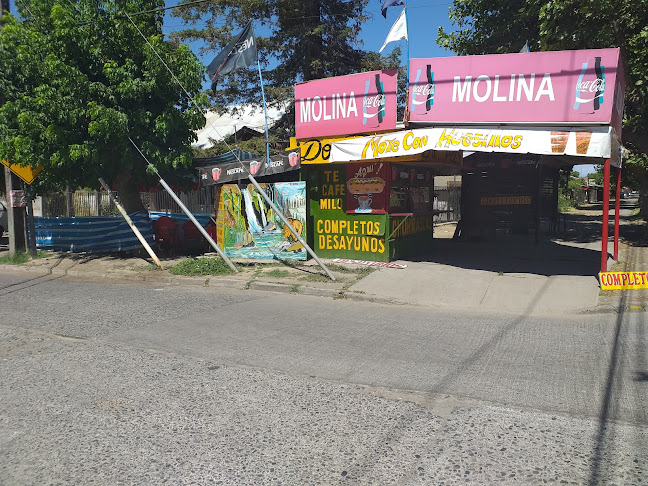 Don Pedro - Molina - Gastronomía y hostelería