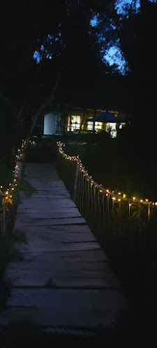 Top pizza Phone number