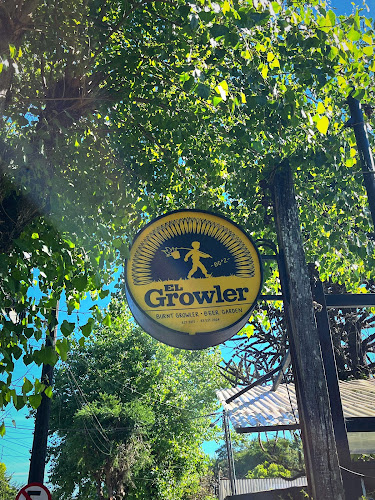 Saelzer 41, 5110208 Valdivia, Los Ríos