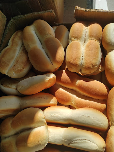 Panadería Almacén Abarrotes Doña Javiera Spa Phone number