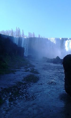 Flor De Loto - Gastronomía y hostelería
