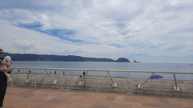 Villarrica, Dichato, Tomé, Bío Bío