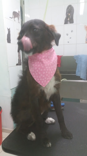 Comentarii opinii despre FRITIKOS GOURMET