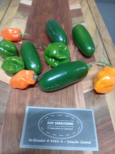 Av. Ecuador 4583, Estación Central, Región Metropolitana