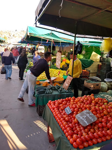 Feria Libre Avenida Argentina Open Times