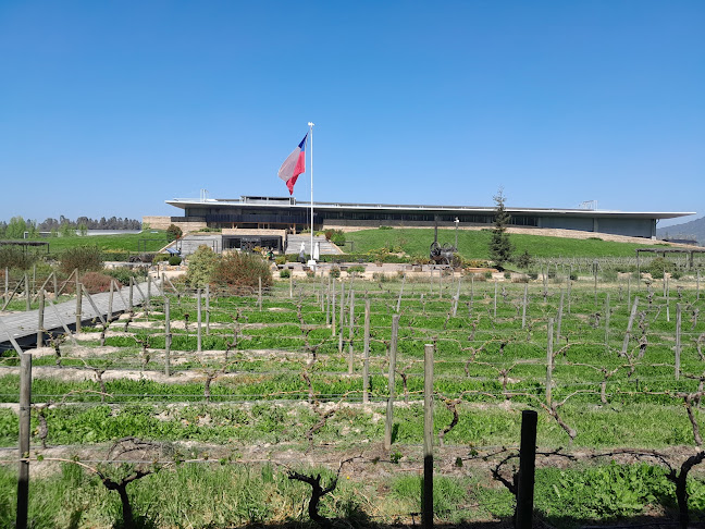 Viña Montes Alpha - Santa Cruz