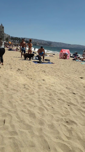 3 Pte. 537, 2520696 Viña del Mar, Valparaíso