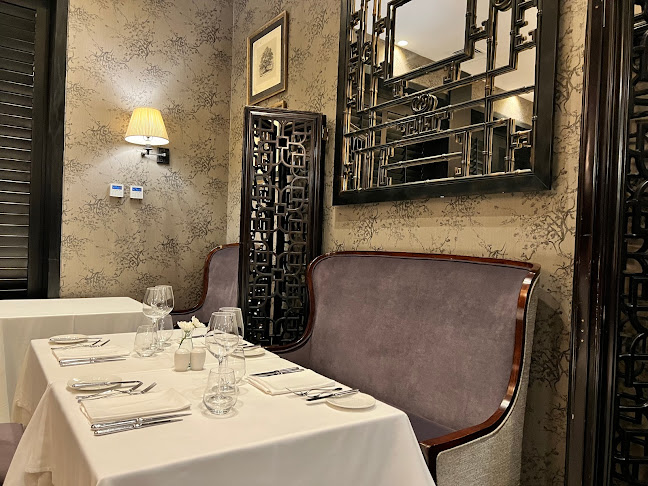 The Singular Restaurant Open Times