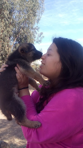 Agricola Los Carrizos - Gastronomía y hostelería