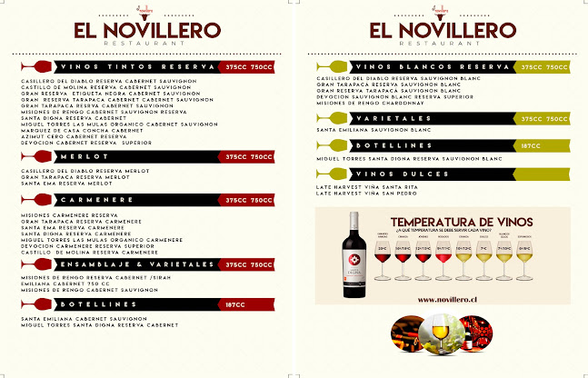 El Novillero Ruta 5 Sur - San Bernardo