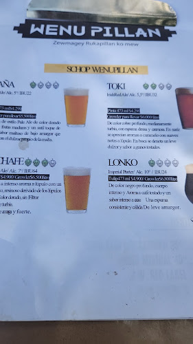 Wenu Pillán Cervecería y Restaurante - Gastronomía y hostelería