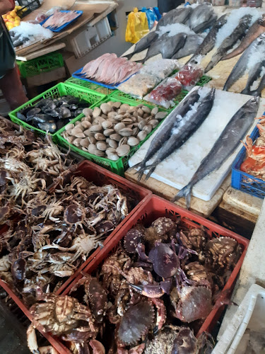 M-80-N 151, Las Lomas, Pelluhue, Maule