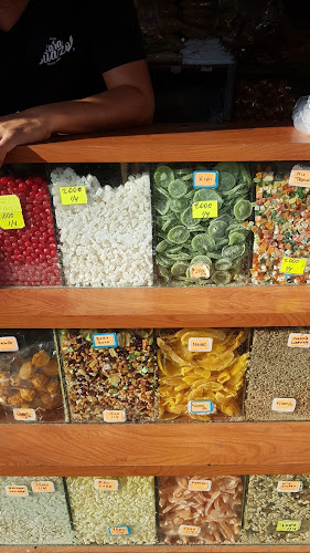 Sara suazo - Recoleta