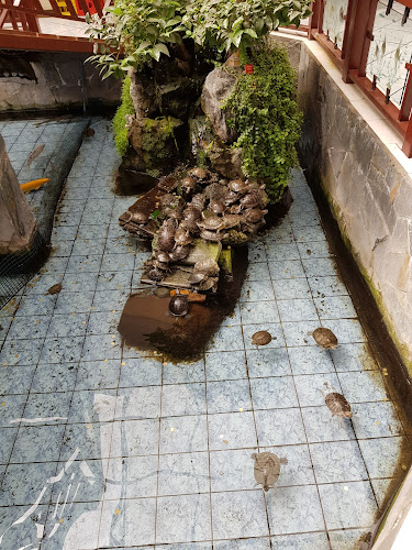 Opinii despre Restaurant Jardín Chino în La Florida - Gastronomía y hostelería