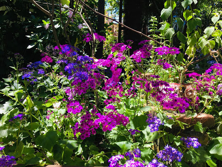 Comentarii opinii despre Lafkenche Restaurant