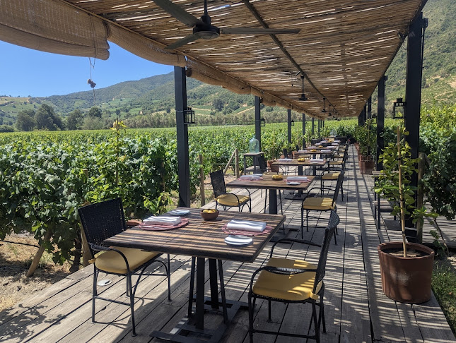 Fuegos de Apalta - Santa Cruz