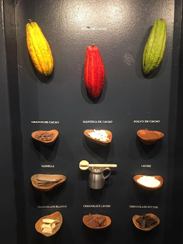 Patagonia Schokoland - Gastronomía y hostelería