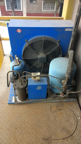 Varios - Pedro Aguirre Cerda