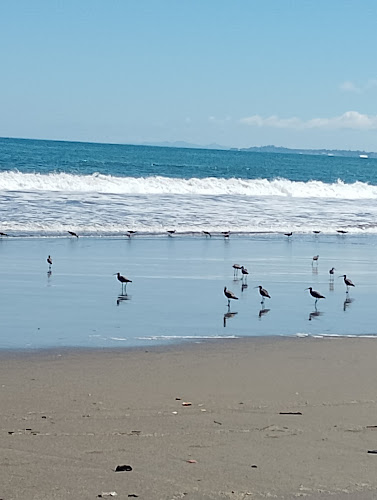 CABAÑAS LARAQUETE, FRENTE AL MAR ,CERCA DE CONCEPCION - Arauco