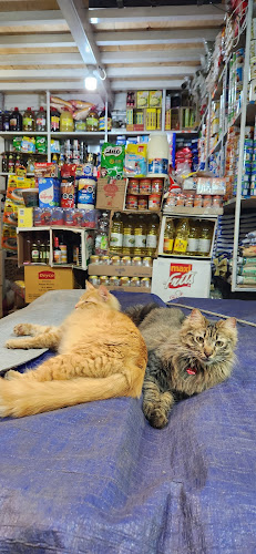 Vega Central de Santiago - Gastronomía y hostelería