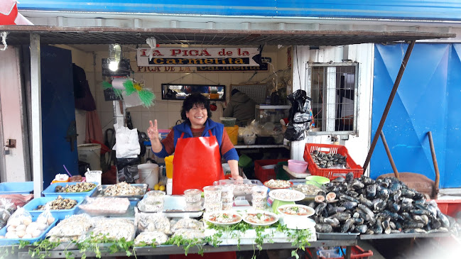 La Picá de la Carmelita - Lota