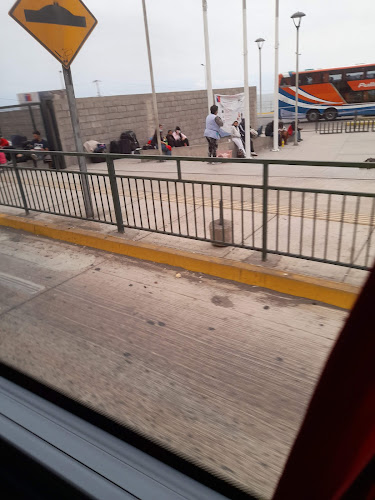 Mercado Municipal De Tocopilla - Tocopilla