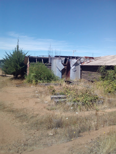 Opinii despre El Mejor Mote con Huesillos y Tortillas în San Bernardo - Gastronomía y hostelería