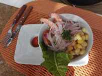 793, Gabriela Mistral 693, Vicuña, Coquimbo