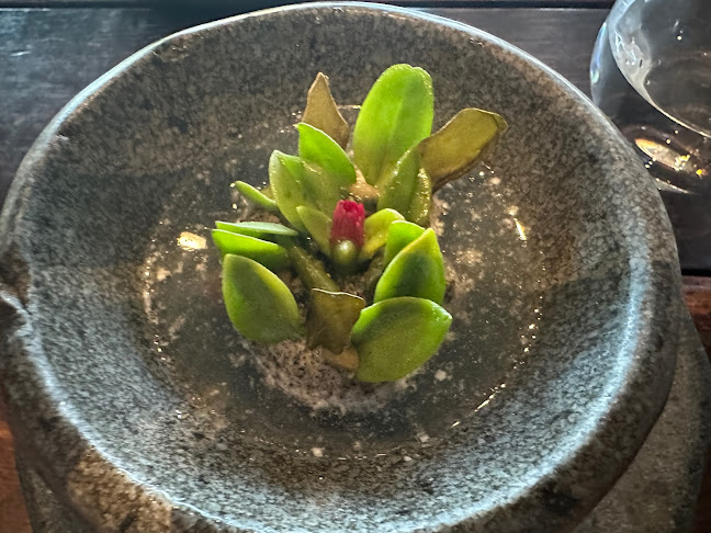 Boragó - Gastronomía y hostelería