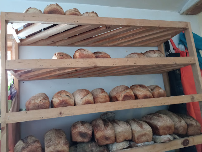 Panadería fën - Concepción