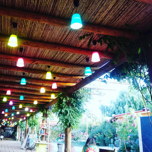 Amaranto Cafe Phone number