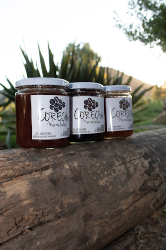 Opinii despre Corecha în Pichidegua - Gastronomía y hostelería