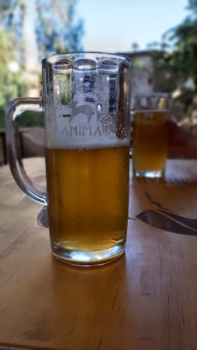 Reviews of carlos in Vicuña - Gastronomía y hostelería