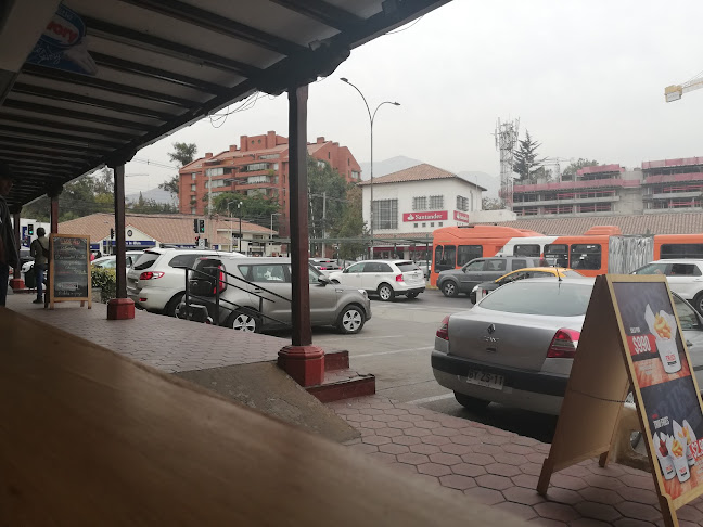 Fries and Bites Phone number