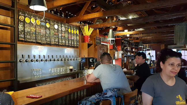 Saelzer 41, 5110208 Valdivia, Los Ríos