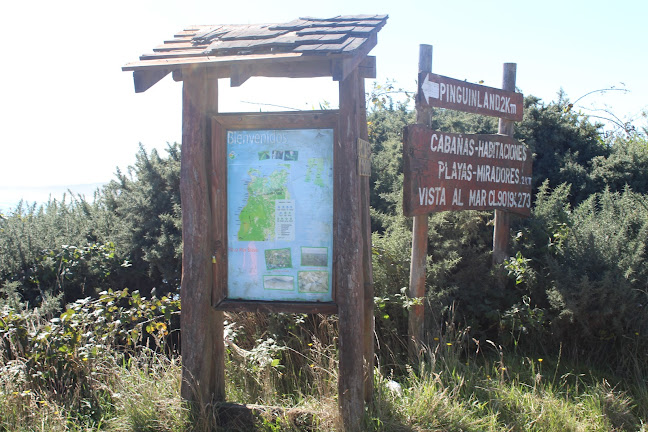 Restaurant Piedra Run Open Times