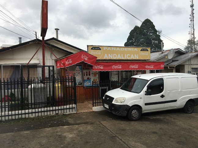 villa andalican psje. pablo neruda 741 La Unión Los Ríos CL, 5220000