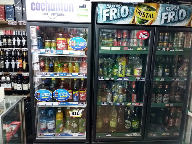 Javiera Carrera, Lago Ranco, Temuco, Araucanía