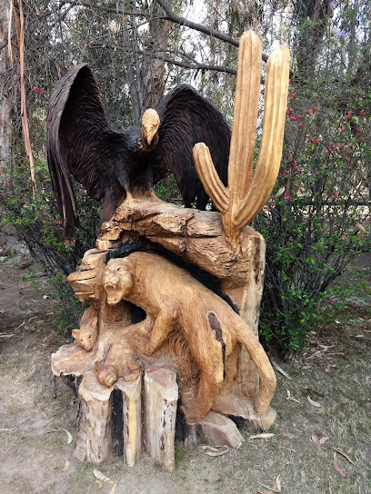 Cafetería Rutas de Coya