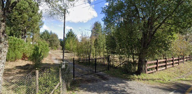 NU Pastelería y Café