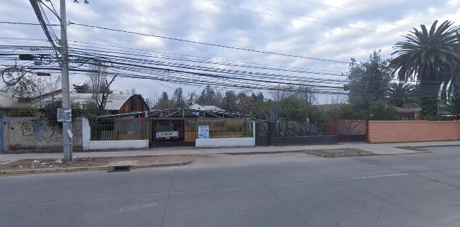 Fenoy Andrea Veronica